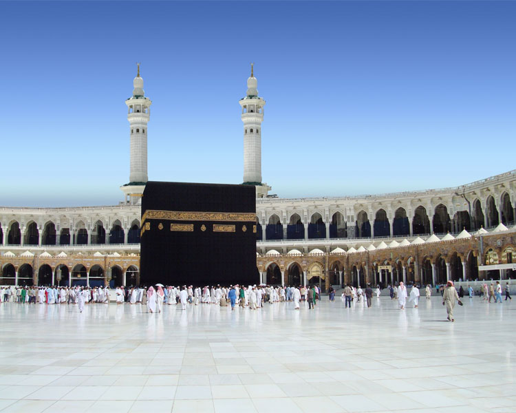 Large Image